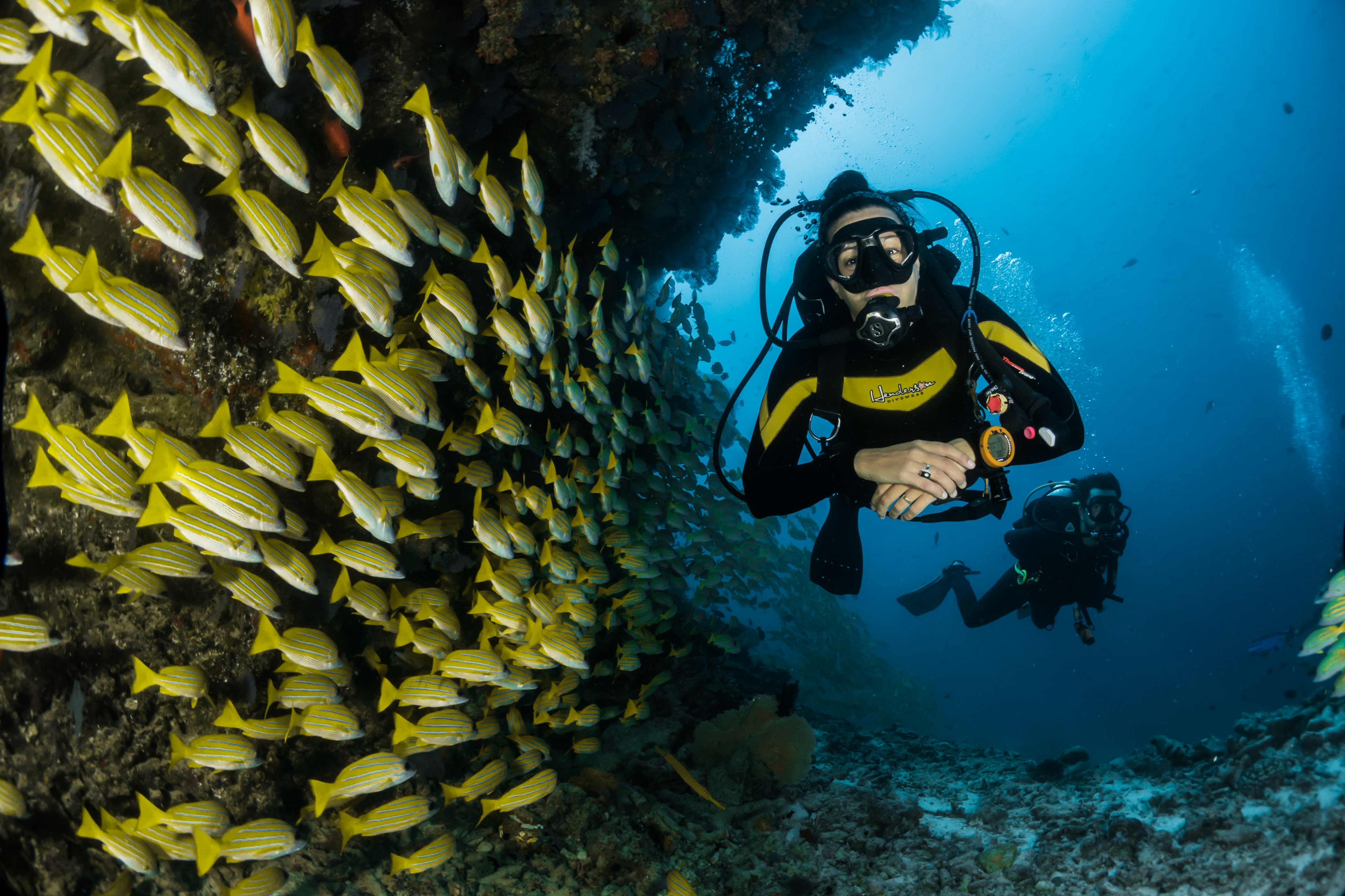 Aquaria Phuket project experience